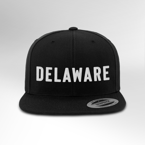 Delaware Block Snapback