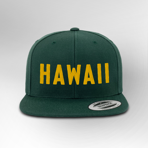 Hawaii Block Snapback