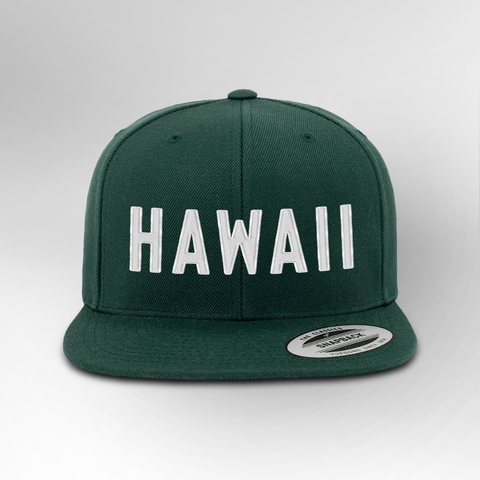 Hawaii Block Snapback