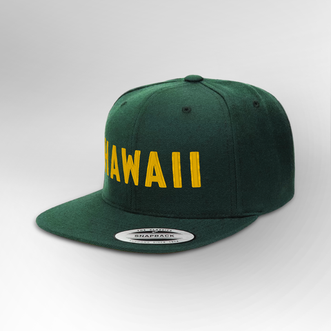 Hawaii Block Snapback