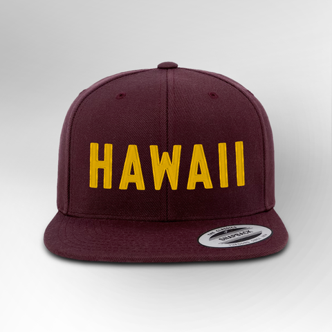 Hawaii Block Snapback