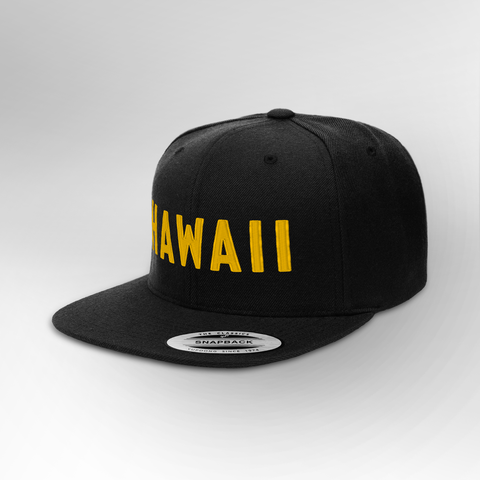 Hawaii Block Snapback