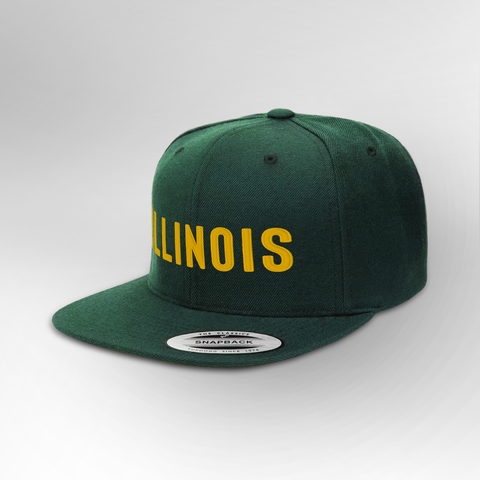 Illinois Block Snapback