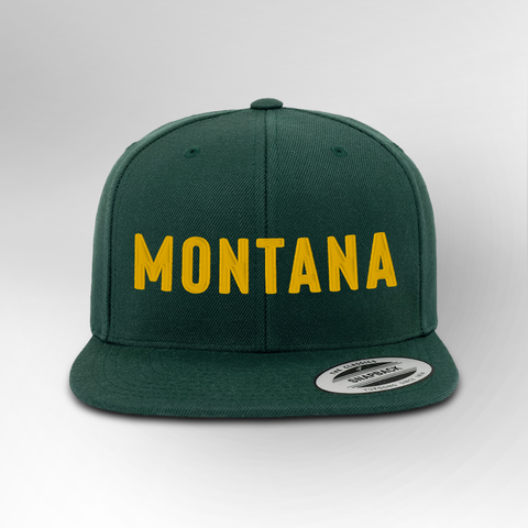Montana Block Snapback