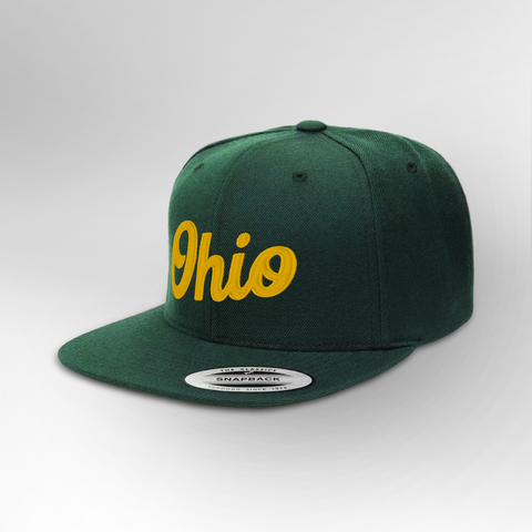 Ohio Script Snapback