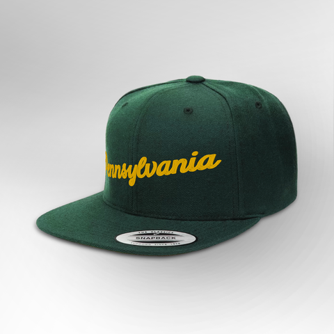 Pennsylvania Script Snapback