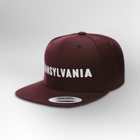 Pennsylvania Block Snapback