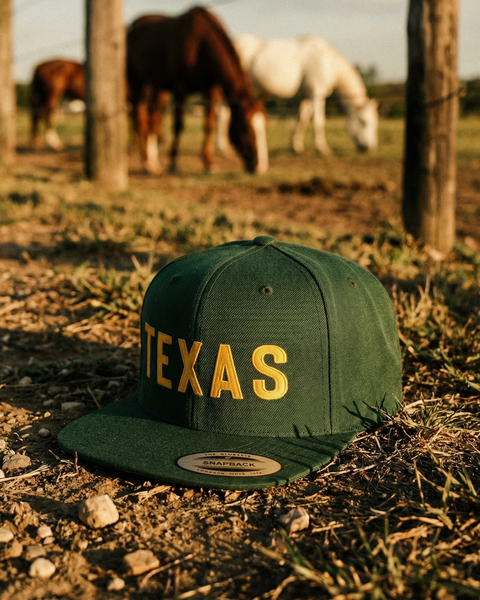 Texas Block Snapback